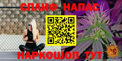 СК Коммунар